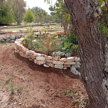 Holiday home Trullo Amedee *